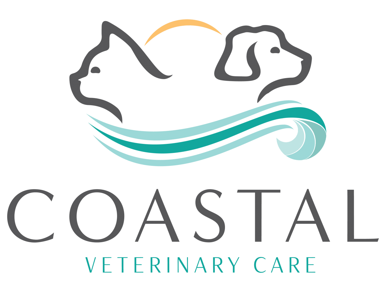 Myrtle Beach Vet Clinic Veterinary Hospital Coastal Veterinary Care
