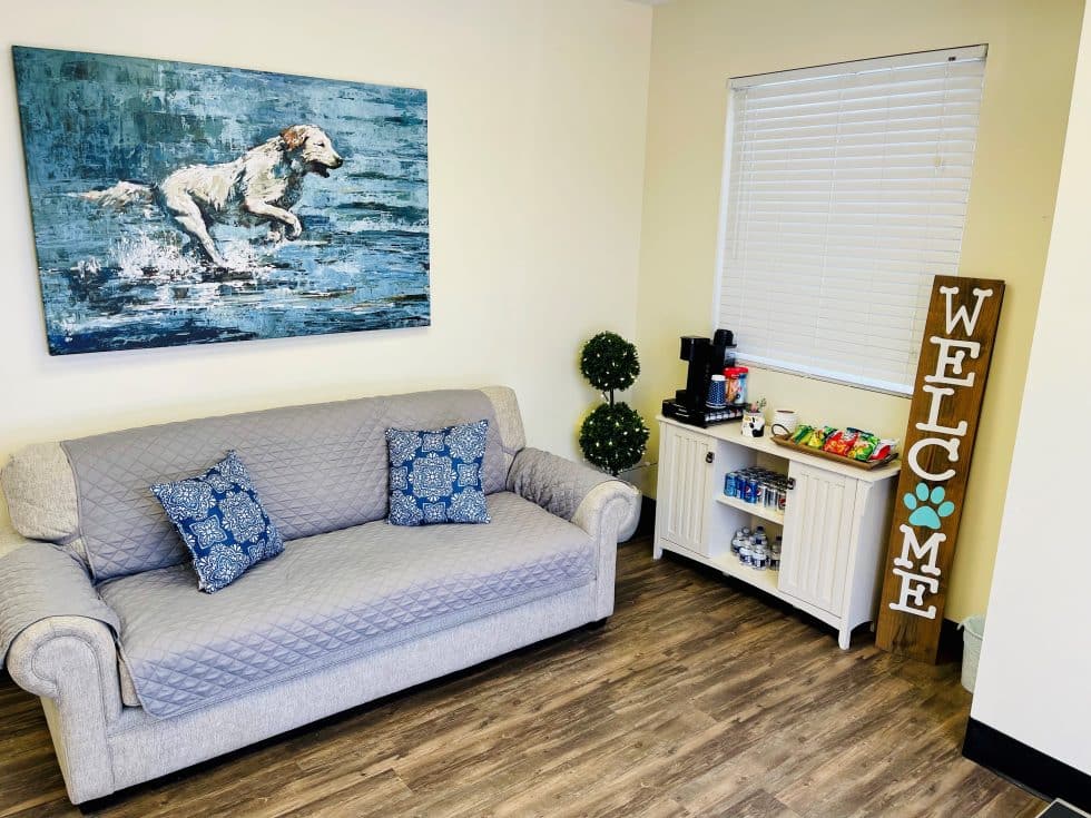 Myrtle Beach Vet Clinic Veterinary Hospital Coastal Veterinary Care