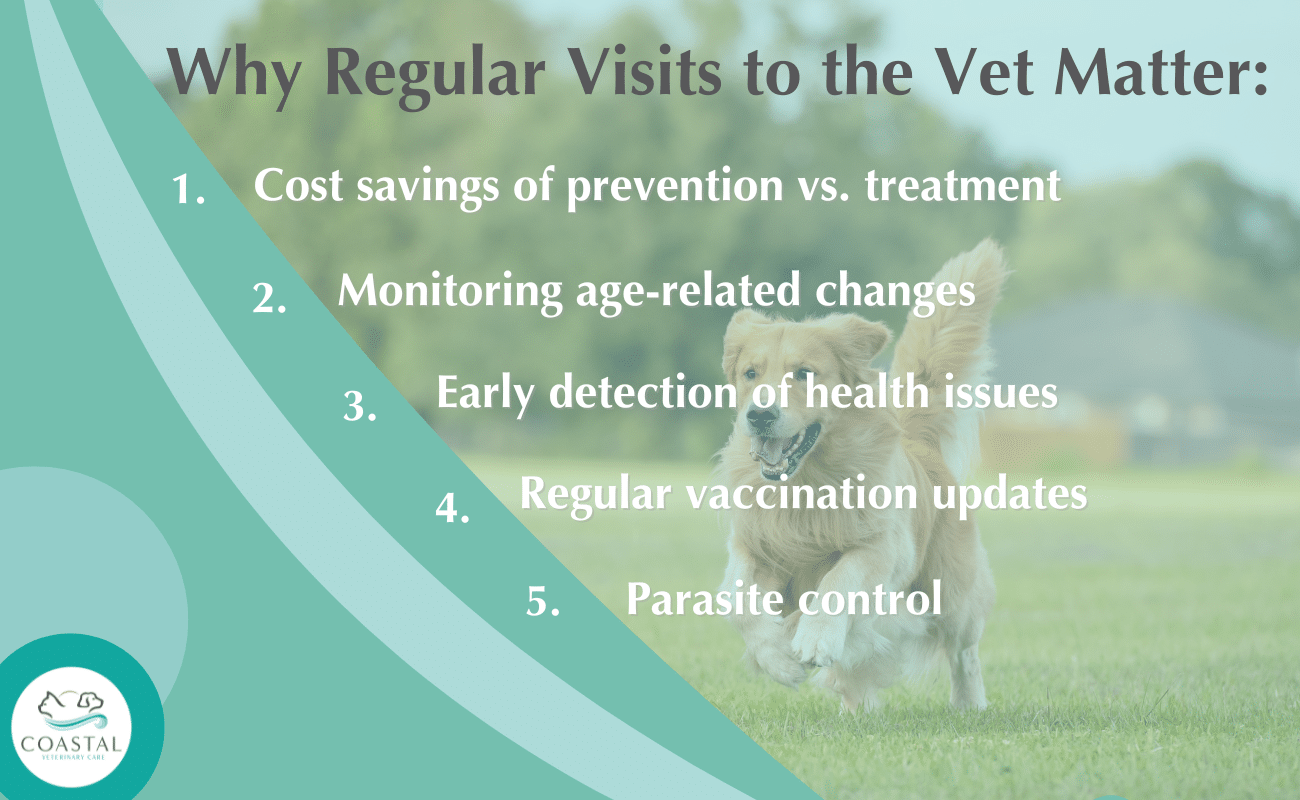 Infographic about why regular visits to the vet matter for your dog.