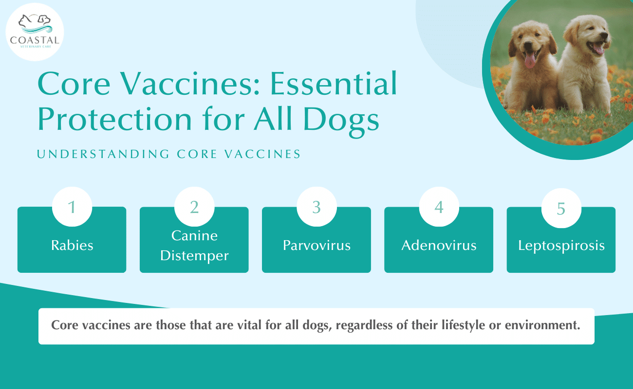 core vaccines for dogs