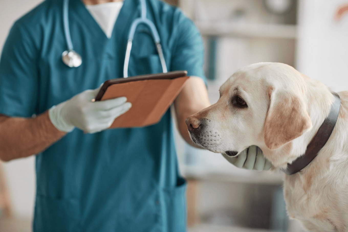 a lab getting a vaccine