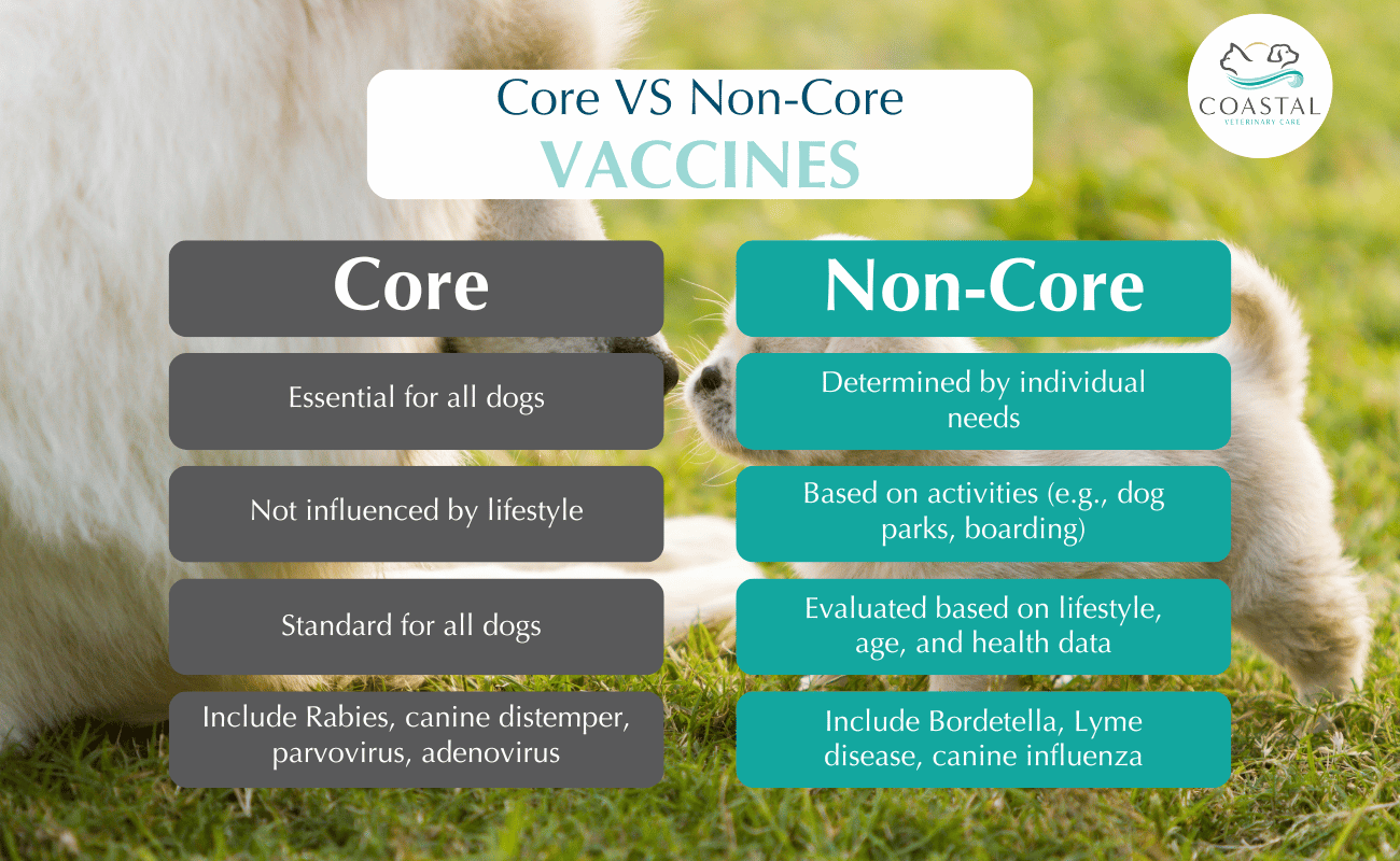 core vs non-core vaccines