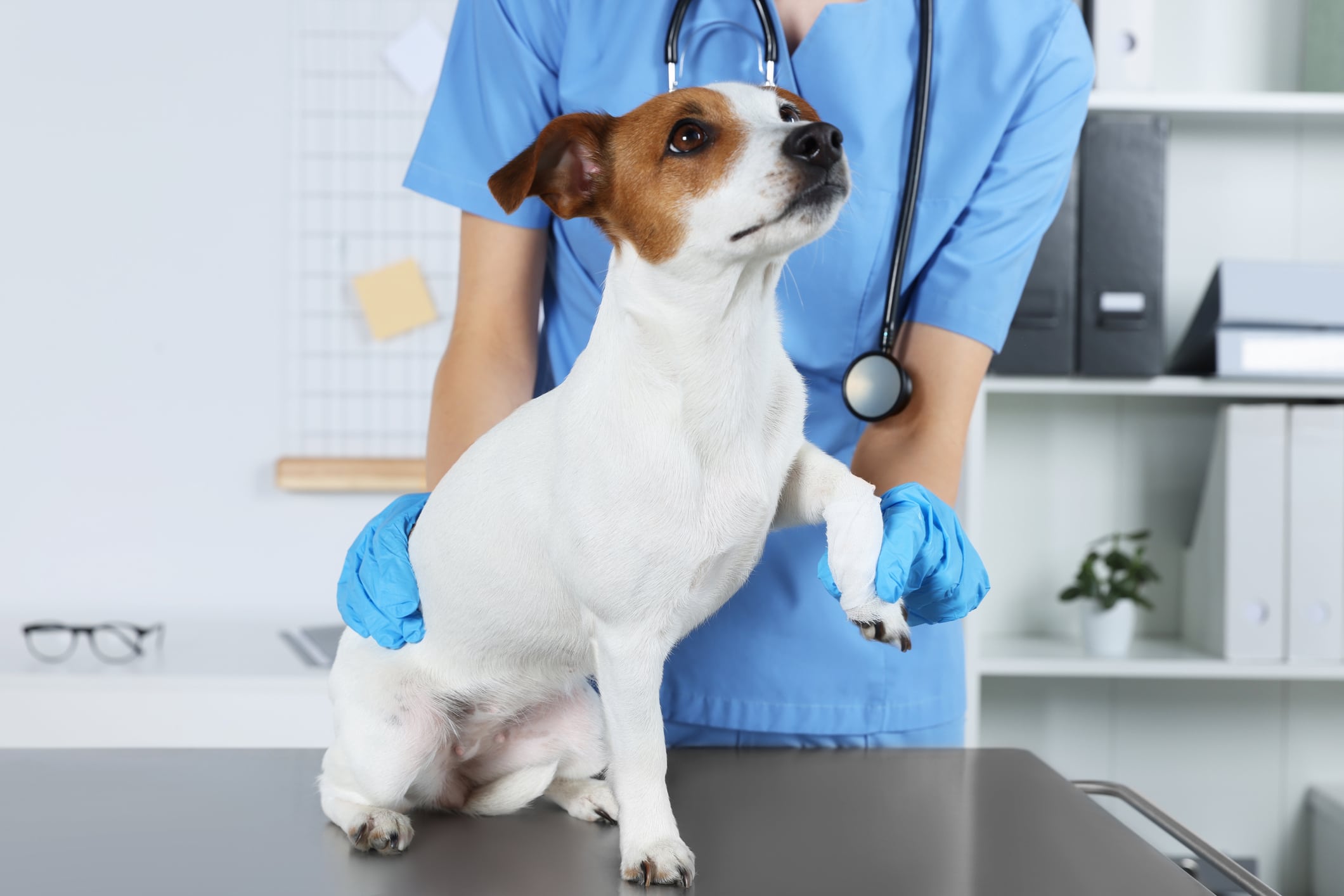Woman in a lab running tests