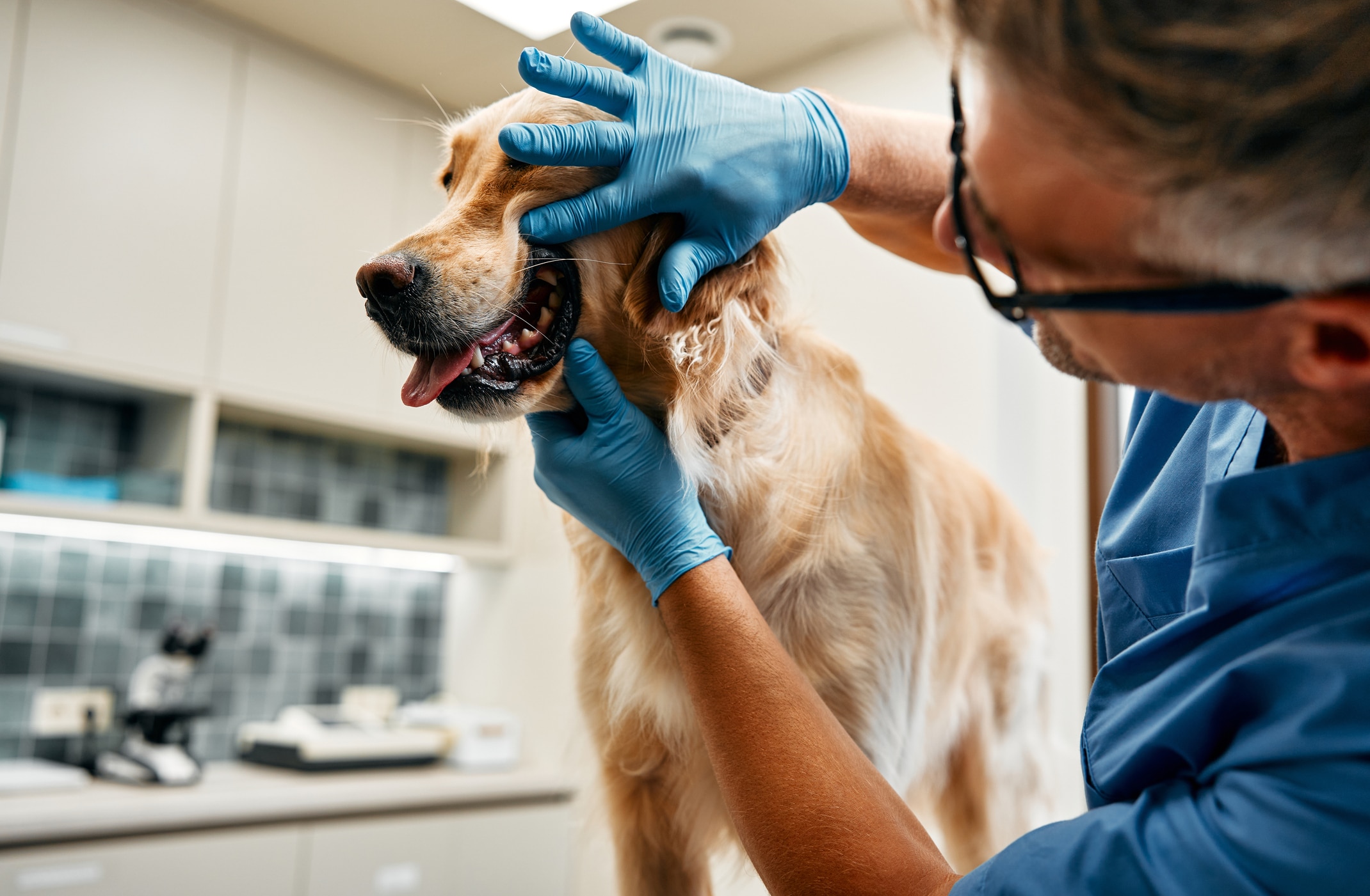 Woman in a lab running tests