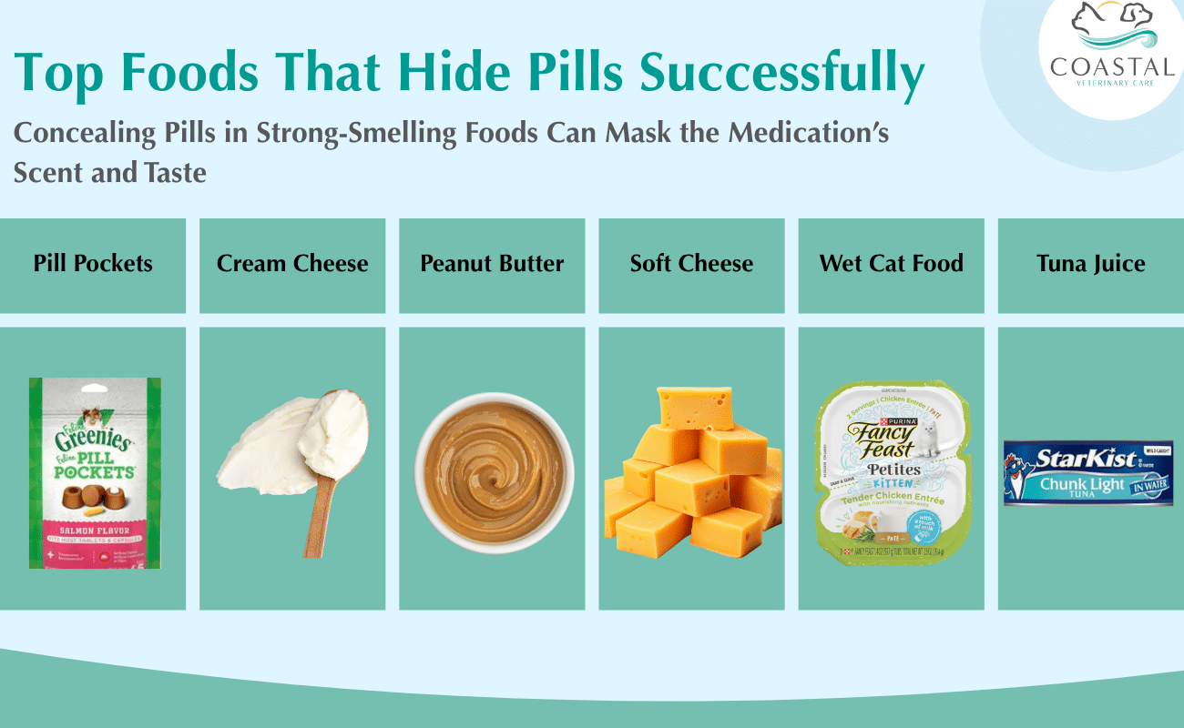 infographic describing types of foods that are easy to hide pills in
