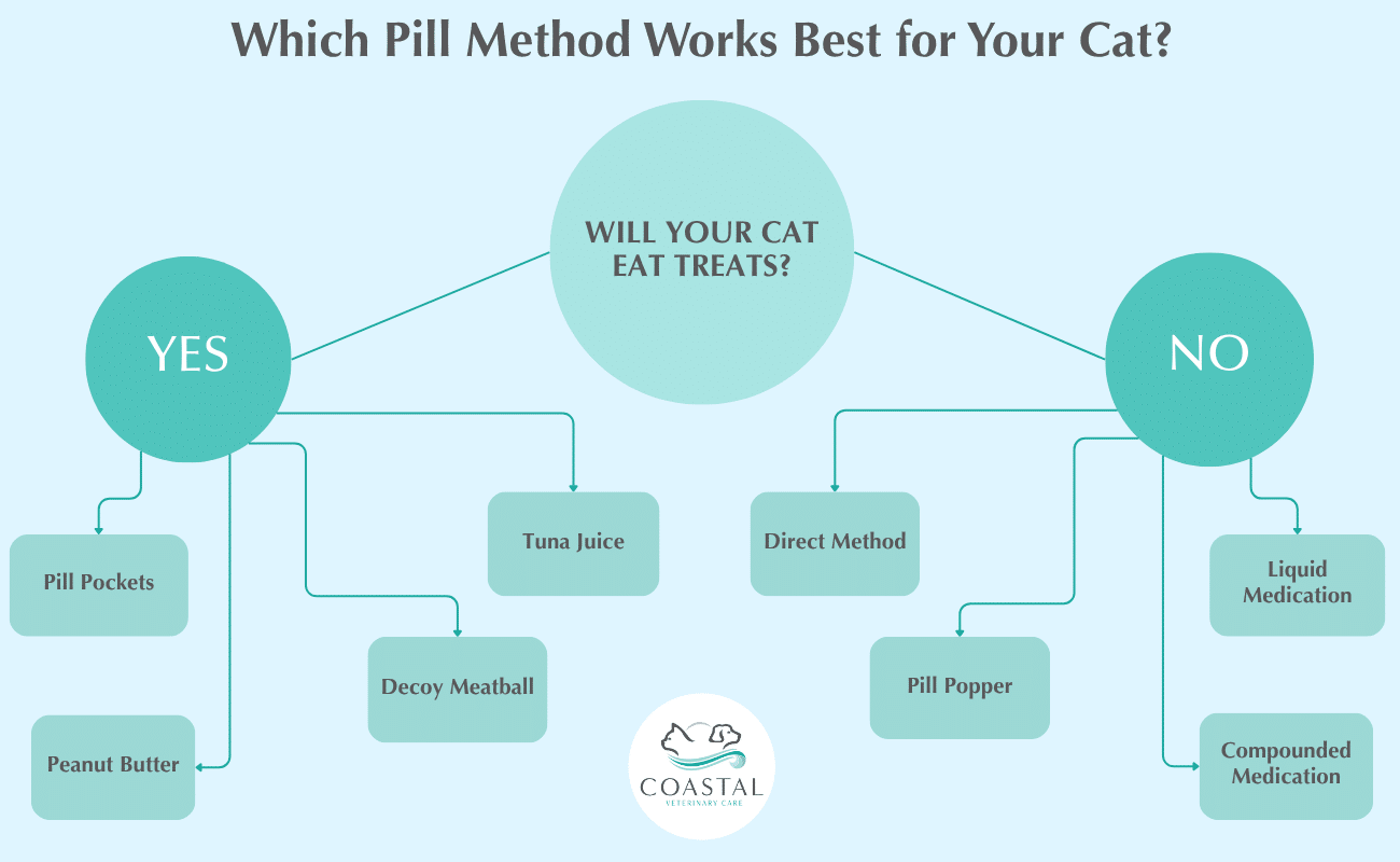 infographic describing ways to give a cat a pill depending on if the cat will eat treats or not