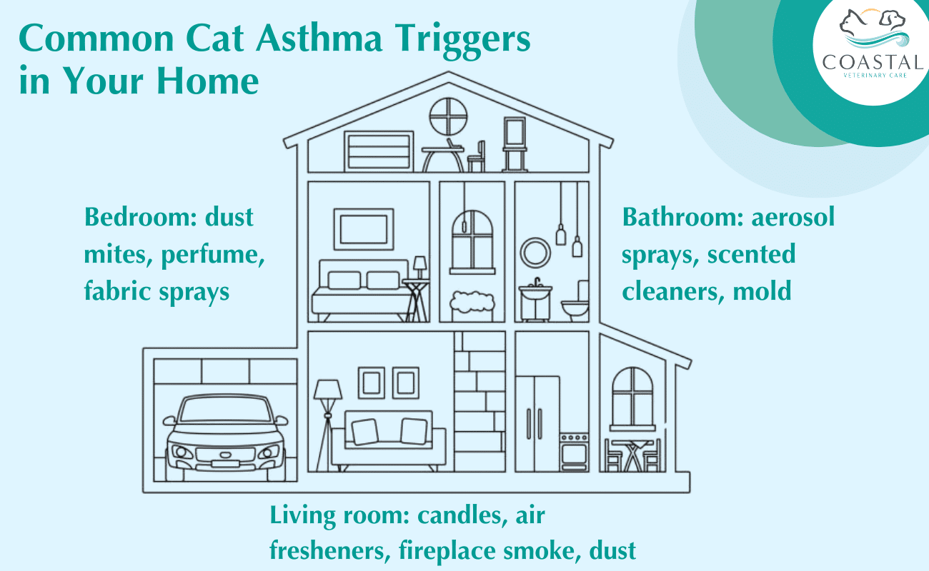 Cat Asthma Symptoms: Signs & When to Act | Expert Tips - Cat Asthma Caused By Indoor Fleas